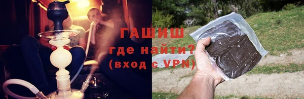 прущие грибы Абаза