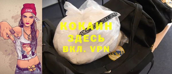 индика Пересвет