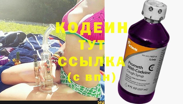 прущие грибы Абаза