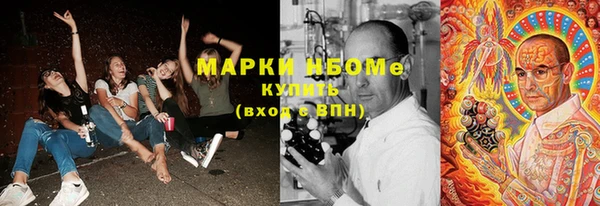 индика Пересвет