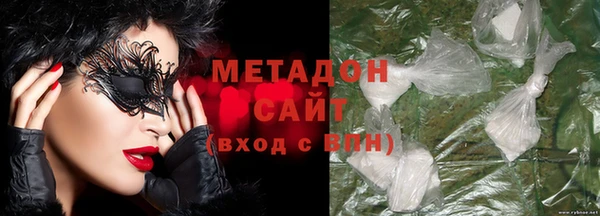 прущие грибы Абаза